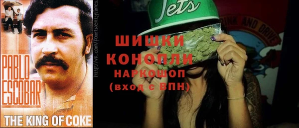 гидра Нея
