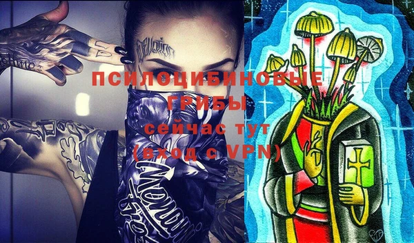 хмурый Новозыбков