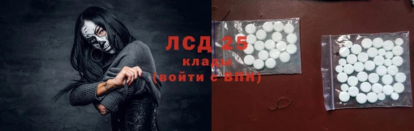 хмурый Новозыбков