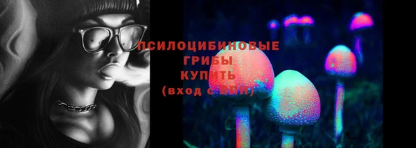 винт Новокубанск