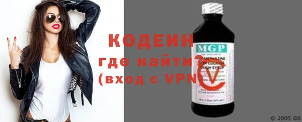 хмурый Новозыбков