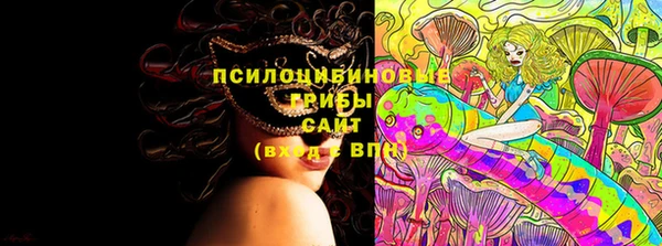гидра Нея