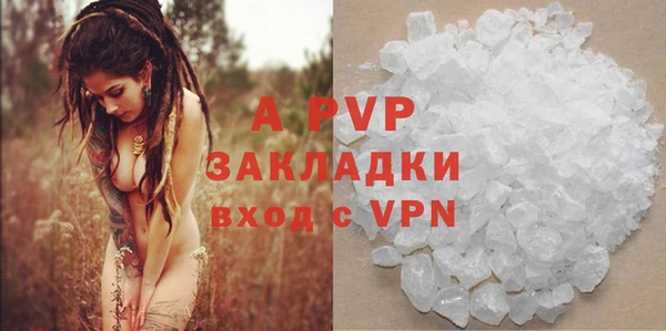 гидра Нея