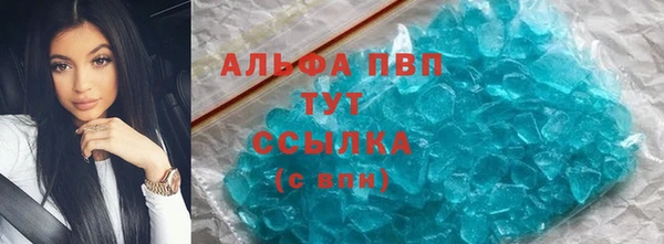 хмурый Новозыбков