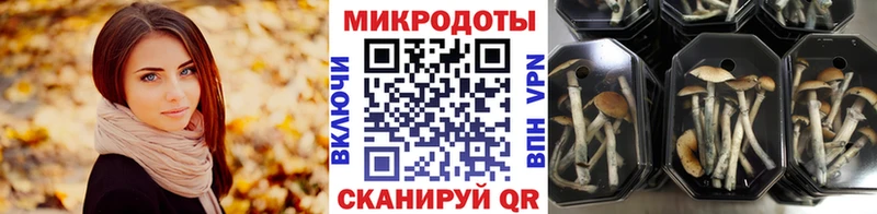 Галлюциногенные грибы Psilocybine cubensis  сайты даркнета Telegram  ОМГ ОМГ ONION  Камбарка  как найти наркотики 